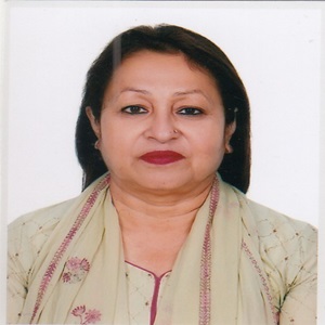 Chairman, Ad-hoc Committee